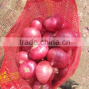 fresh red nashik onion exporter from india