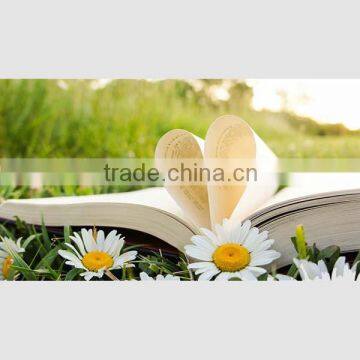 Top Quality Case Bound Sewing Binding English Literature Book photo-6