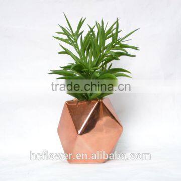 Fashion Artificial succulent plant with ceramic for home decoration