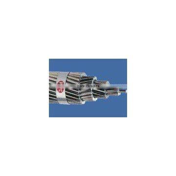 HTACSR/AW Transmission Conductor