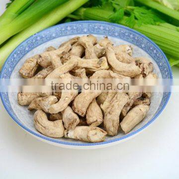 Dried Mushroom Spawn