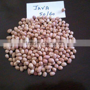 Java Peanut