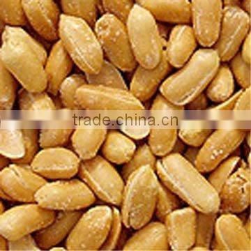 Canned Fried & Salted Peanuts Roasted 150g Groundnut