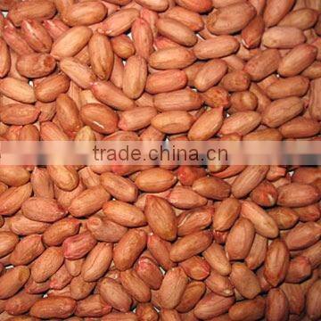 raw peanuts kernels