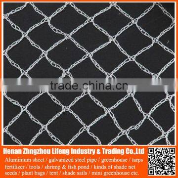 new arrival pe anti bird netting , plastic hdpe bird hunting device trap net , nylon plant fruit support safety net wire mesh