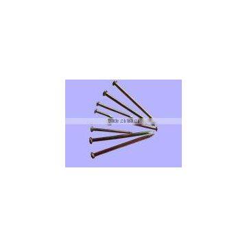 nail