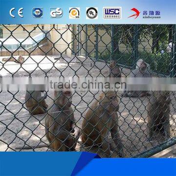 10'x10'x6' Chain Link Dog Cage photo-4