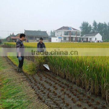 Multifunctional 4GL150 Small Wheat Reaper Head photo-3