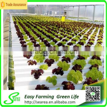 2015 Hot sale large hydroponic greenhouse