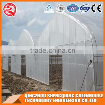 Multifunction Plastic film greenhouse for vegetables planting,flowers,culture