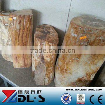 Petrified Wood,high Value Luxary Natural Stone for Collection photo-2
