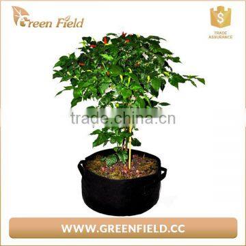 1/2/3/5/7/10/15/20/25/30 Gallon Non Woven Fabric Pot Plant Grow Bags photo-2