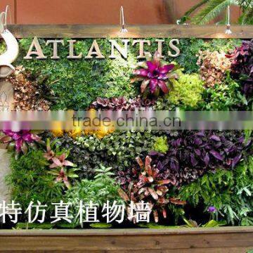 Decorative Home Decor Green Wall Cheapest (80X20cm)ornamental Plant Artificial Flower Wall photo-3