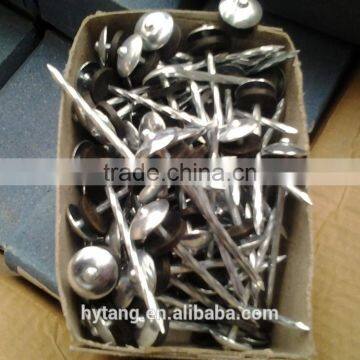 Galvanized Roofing Nails With Umbreall Head photo-2