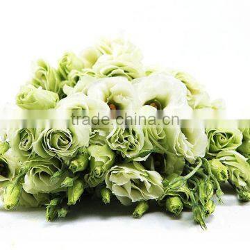 Supply Wedding Bouquet High Quality Lisianthus Flower From Kunming Wholesale