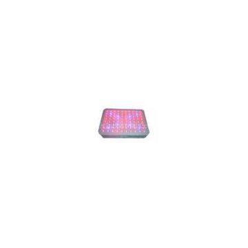 460nm 10800Lm 3w LED Grow Lights For Tomato / Lettuce / Basil