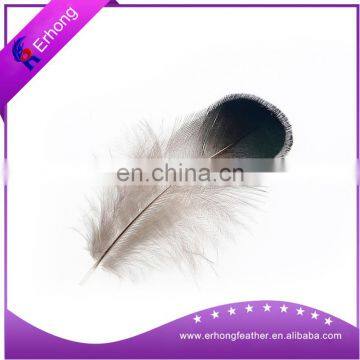 Black and white decorative Chicken Feathers for sale