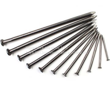 factory price polished common nails