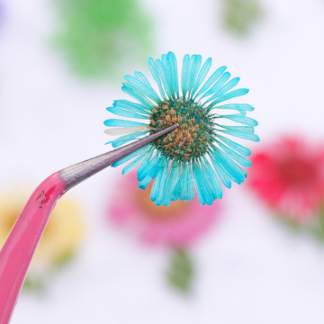 Babysbreath Dry Flower For Diy Nails Design Nails With Dried Flowers