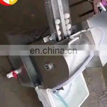 Brush washing egg clean machine