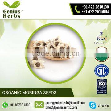 Low Cost Premium Quality Moringa Seeds for Medical Usage photo-5