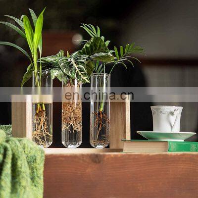 3 Test Flower Bud Vase Kit Glass Plant Terrarium Tubes Test Tube With Wooden Shelf photo-5
