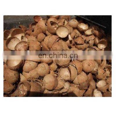 Raw Coconut With Best Quality/Cheap Raw Coconut Shells for making charcoal from Vietnam