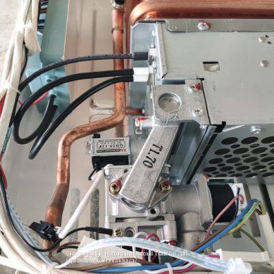 Tankless Hot Water Heater Instant Gas Water Heater Geyser Boiler For Bath Shower photo-4