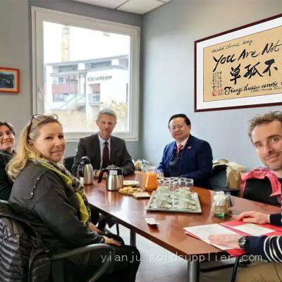 Modern Calligraphy Art Home Decoration Design and Application photo-3