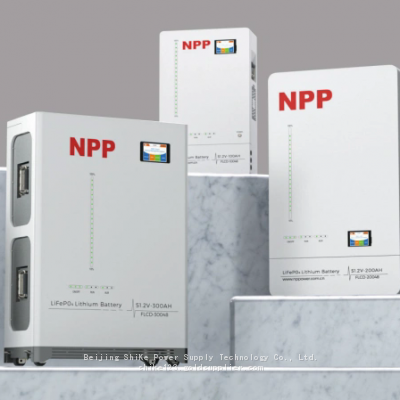 NPP Power BATTERY photo-3