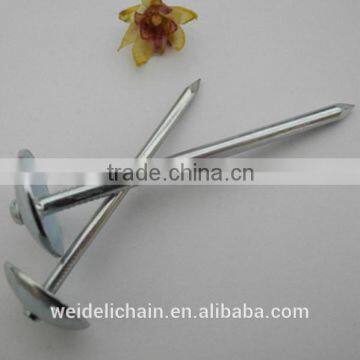 Corrugated iron roofing nails / galvanized umbrella head roofing nails