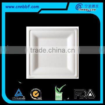 Sugarcane bagasse pulp moulded fiber square plate with 3 size                        
                                                Quality Choice