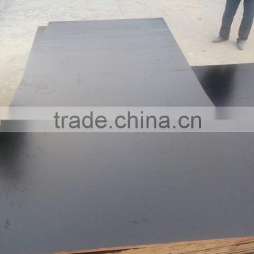 poplar core phenolic film faced plywood