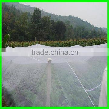Lightweight Greenhouse Anti Insect Net for Agriculture photo-5