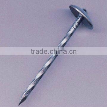 zinc coated roofing nails