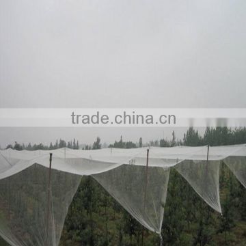 Anti-hail Net / Windbreak Net / HDPE Agricultural Net