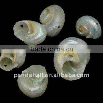 Spiral Shell Beads, Dyed, Multicolor(BSHE-S066)