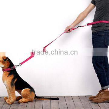 Running Epoxy Sticker Pet Dog Leash Wholesale photo-5