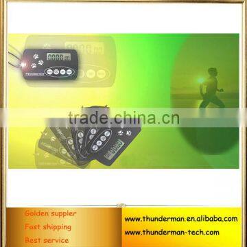 Card shape Pedometer , Multifunctional Digital Calories Pedometer
