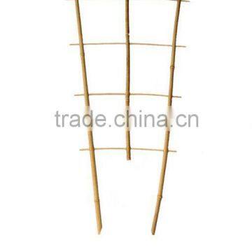 Bamboo Trellis - Bamboo vine