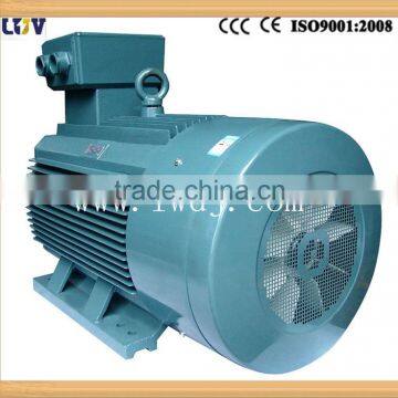 ac motor magnet