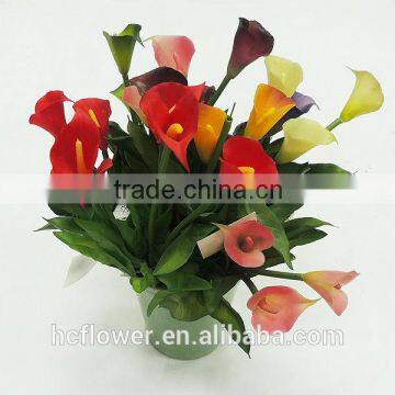 New model small ceramic potted flower anthurium for wedding decoration