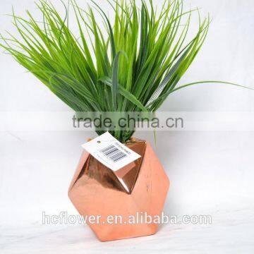 Home and office decoration of succulent grass