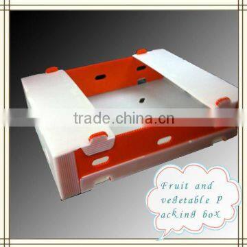 Fresh plastic corflute packaging fruit & vegetable box