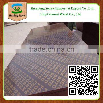 construction grade plywood formwork 18mm black film faced plywood