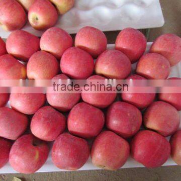 Grade AA Juicy,sweet Red Fuji Apple photo-4
