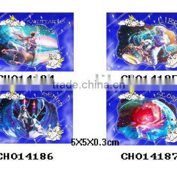 constellation fridge magnets