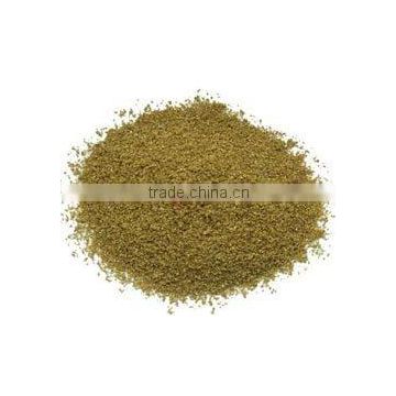 fennel powder