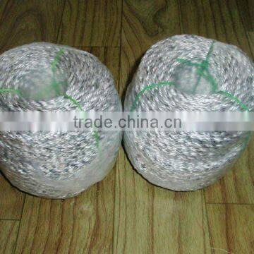 manu/sell Rope of Mixed textile by polyester multifilamen plus pp danline-P1010071(0017)