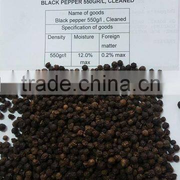 VIETNAM BLACK PEPPER BEST PRICE photo-3
